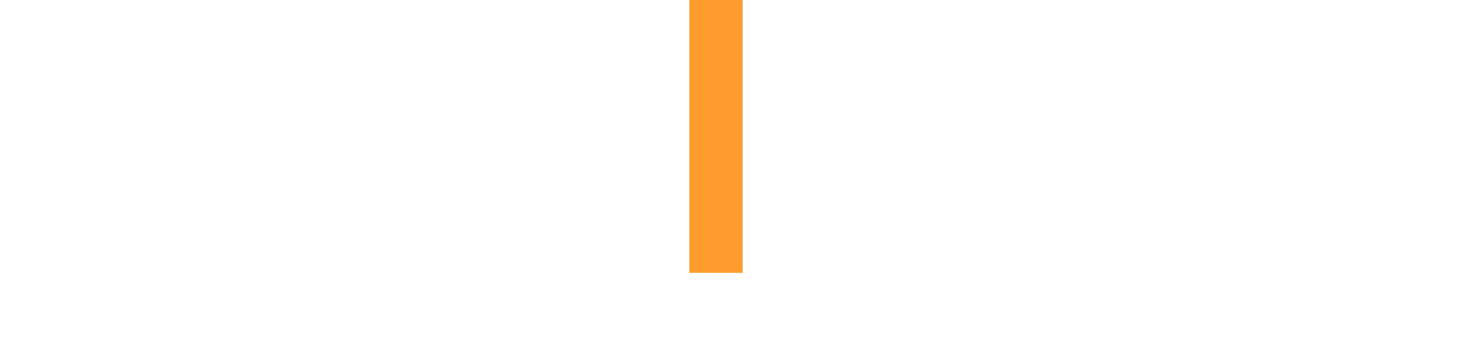 Partner Logo 1